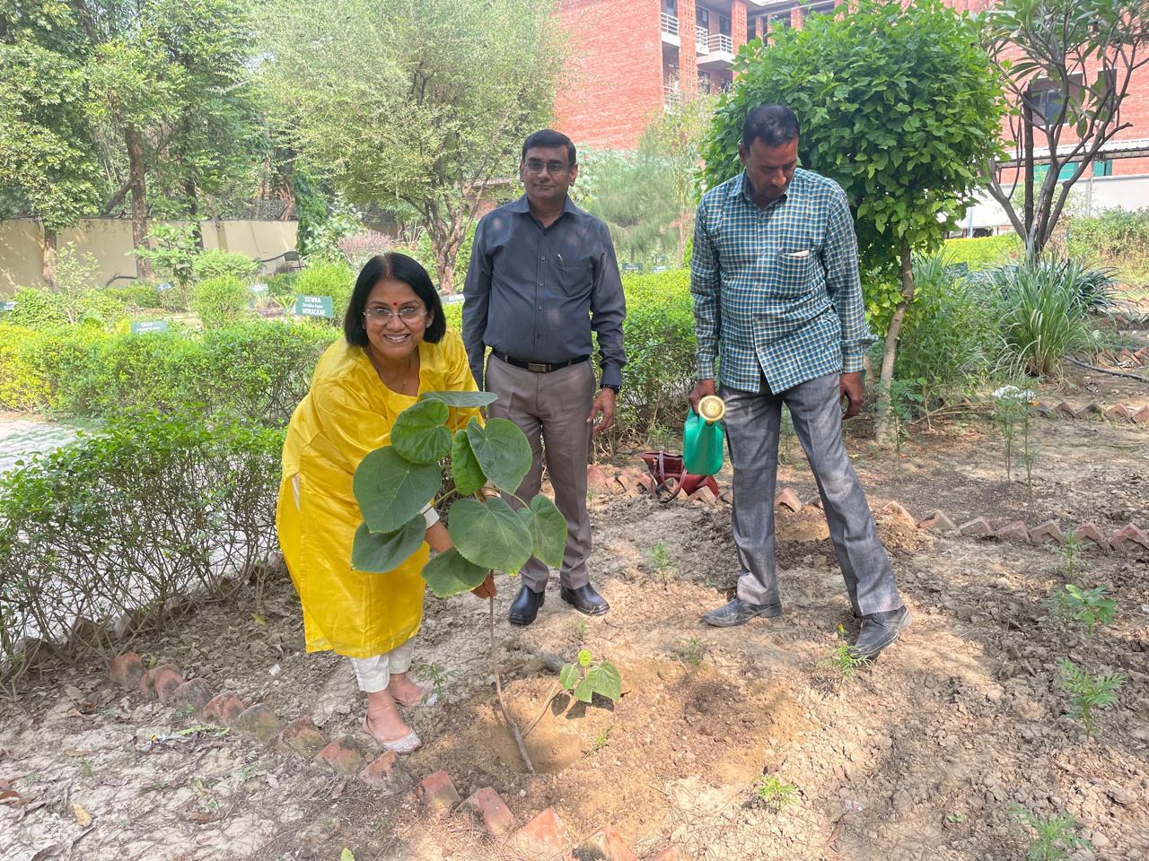 Plantation Drive by Guest