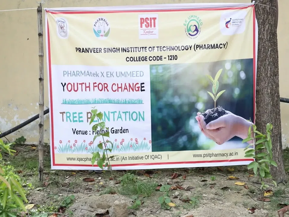 Tree Plantation-Youth for Change